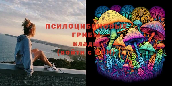 ешки Алзамай