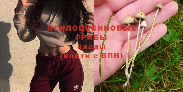 ешки Алзамай