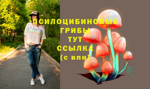 ешки Алзамай